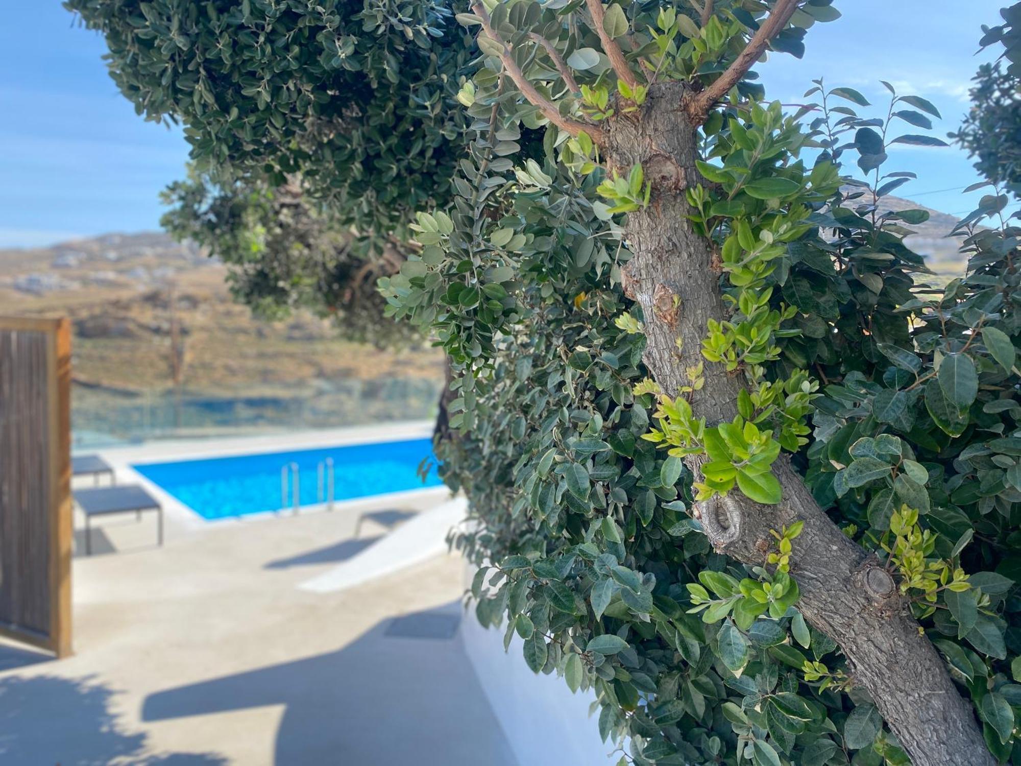 Ftelia Beach Paradise - Villa Irina'S Oasis Экстерьер фото